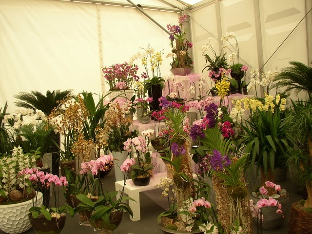 vrt-cvijece-floraart